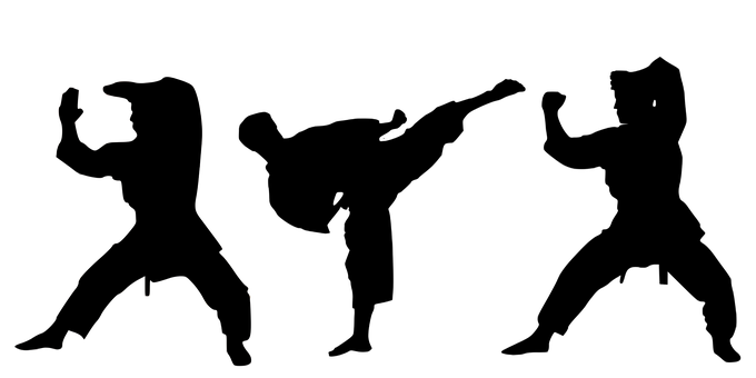 Karate Martial Male Fighter Transparent PNG Image
