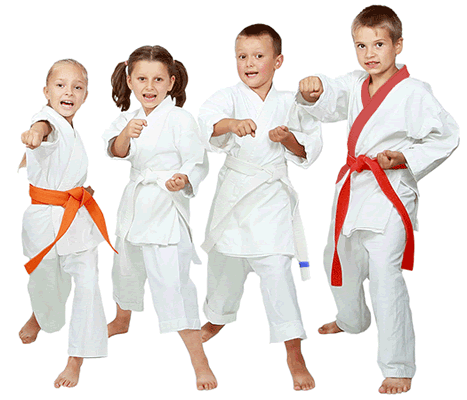 Karate Transparent PNG Image
