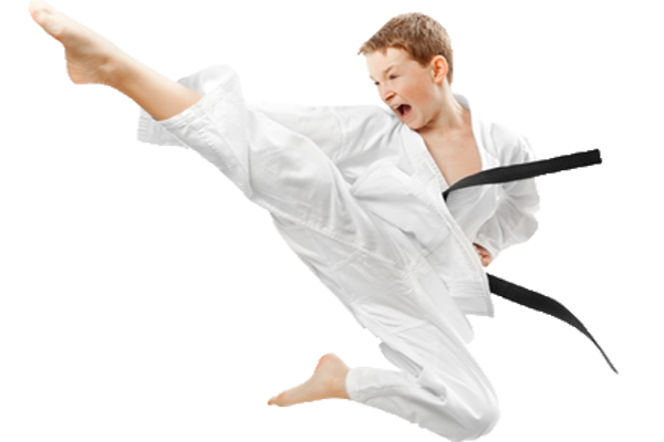 Karate Background Transparent PNG Image