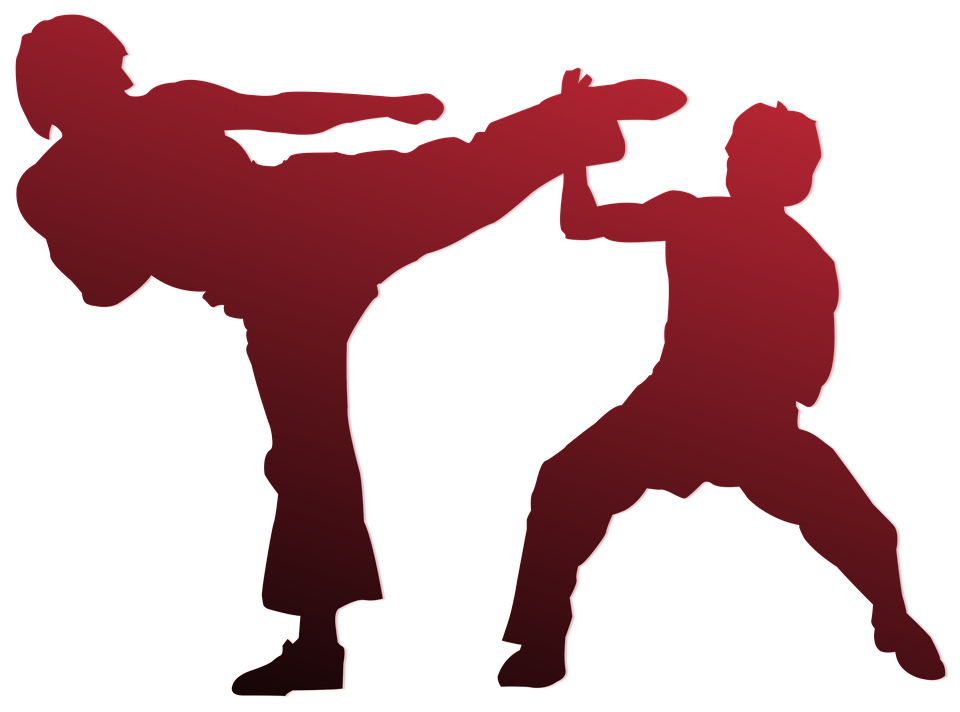 Karate Transparent PNG Image