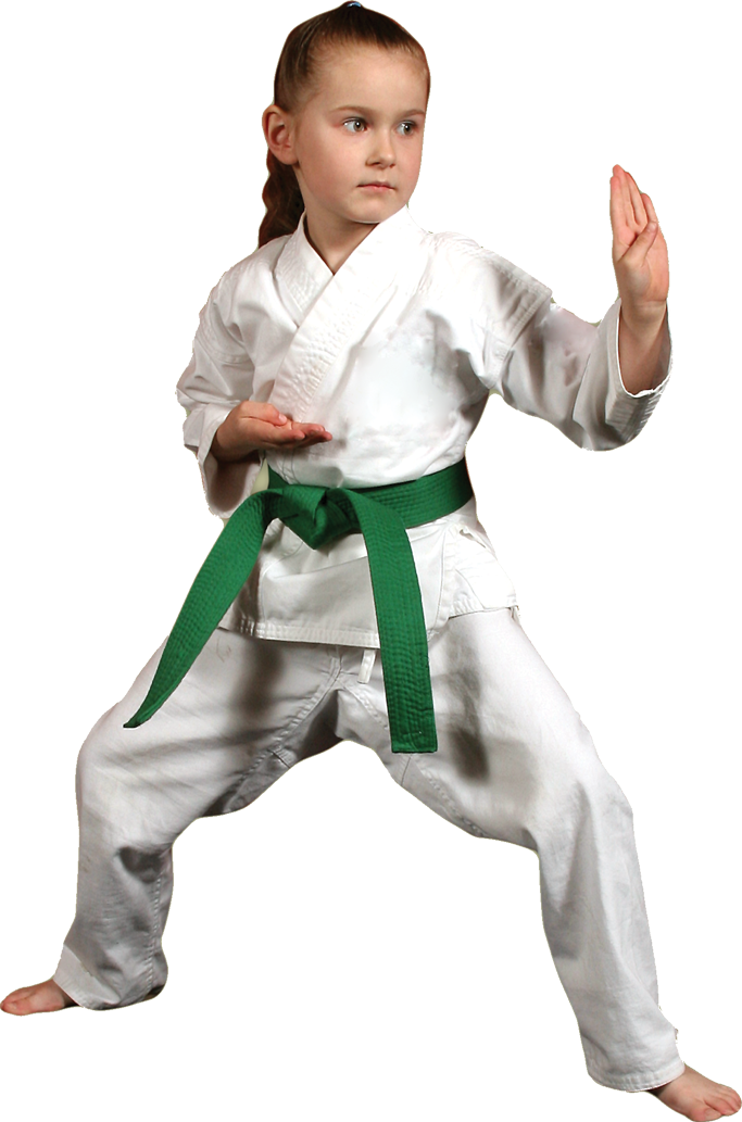 Karate Transparent PNG Image