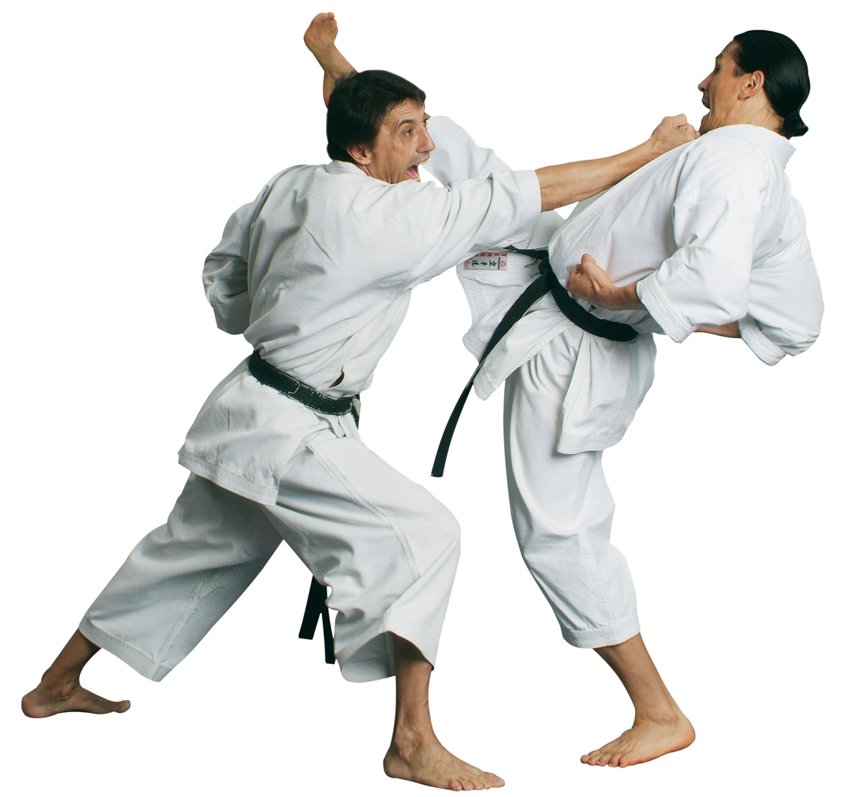 Karate Transparent PNG Image