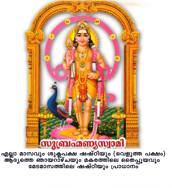 Lord Kartikeya Transparent PNG Image