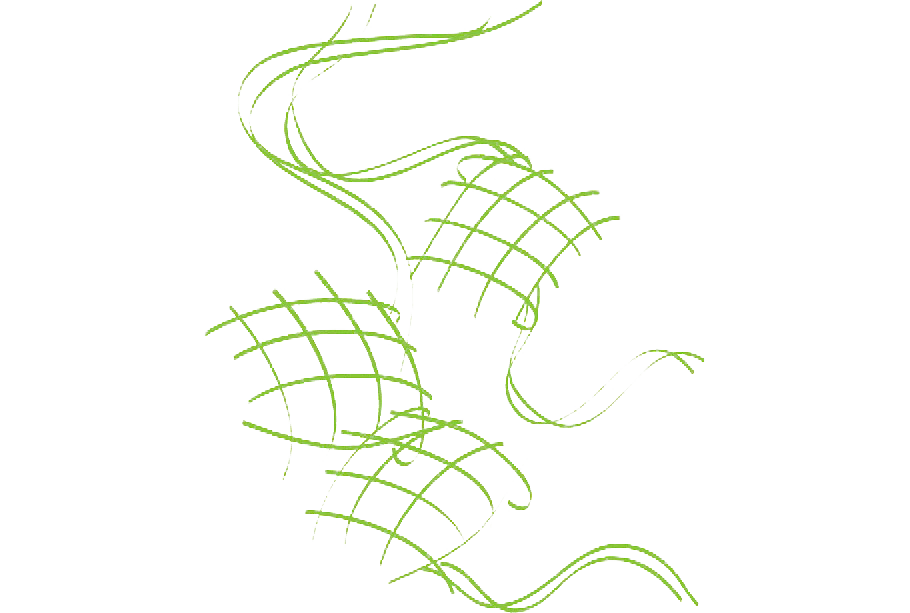 Dish Ketupat Transparent PNG Image