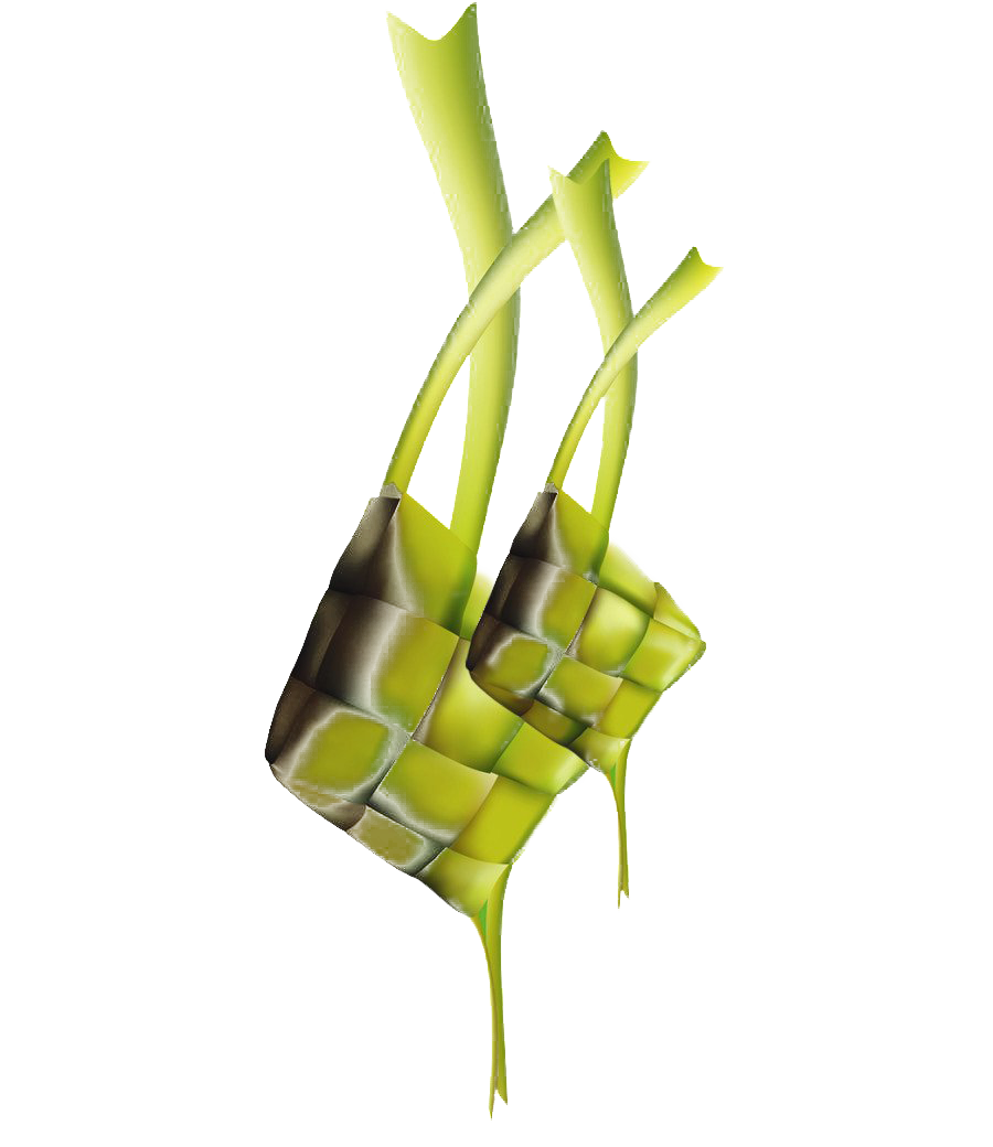 Ketupat Transparent PNG Image