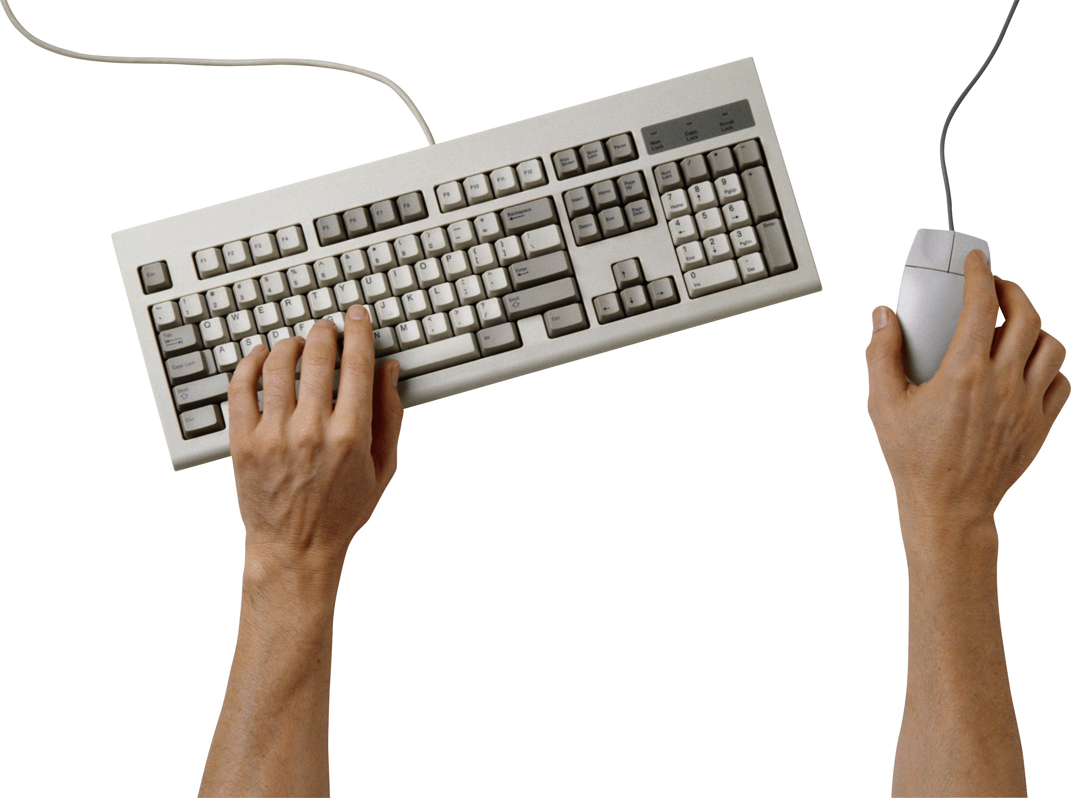 Hands On Keyboard Transparent PNG Image