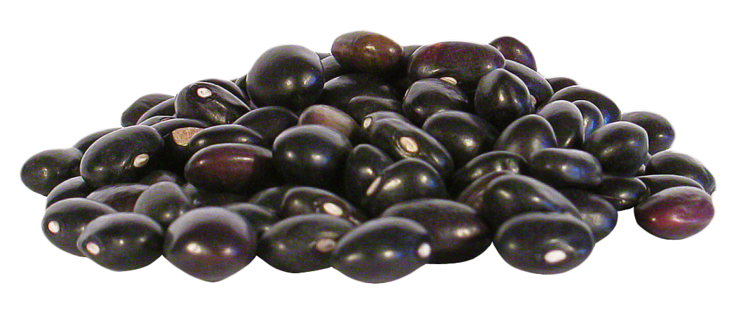 Beans Black Kidney Transparent PNG Image