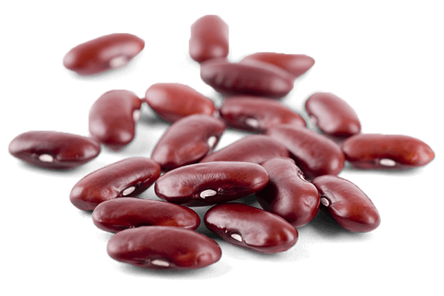 Fresh Beans Kidney Transparent PNG Image