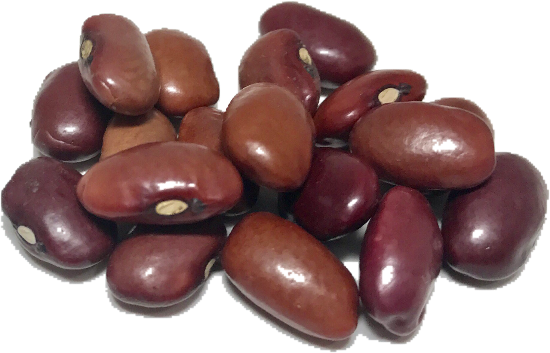 Beans Kidney Transparent PNG Image