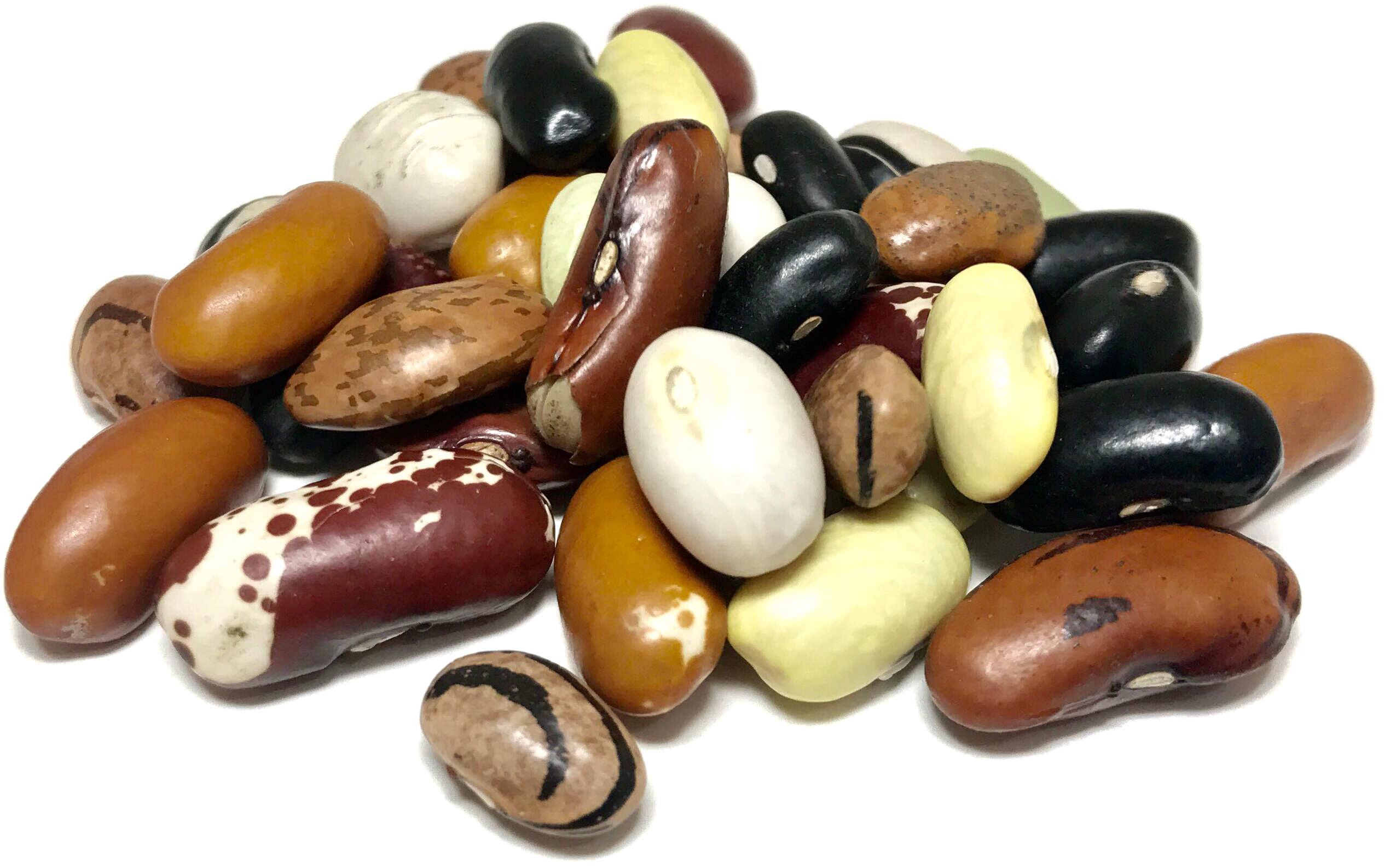 Mixed Beans Kidney Transparent PNG Image