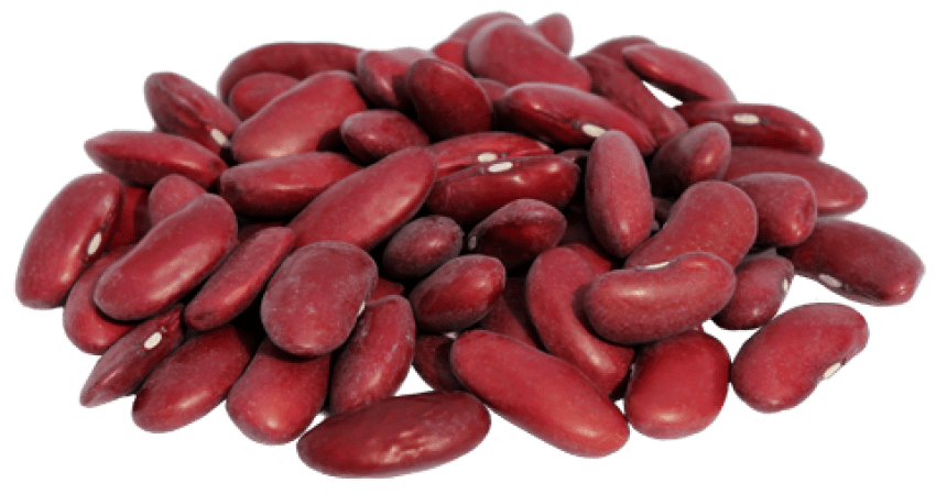 Raw Beans Kidney Transparent PNG Image
