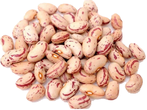 White Beans Kidney Transparent PNG Image