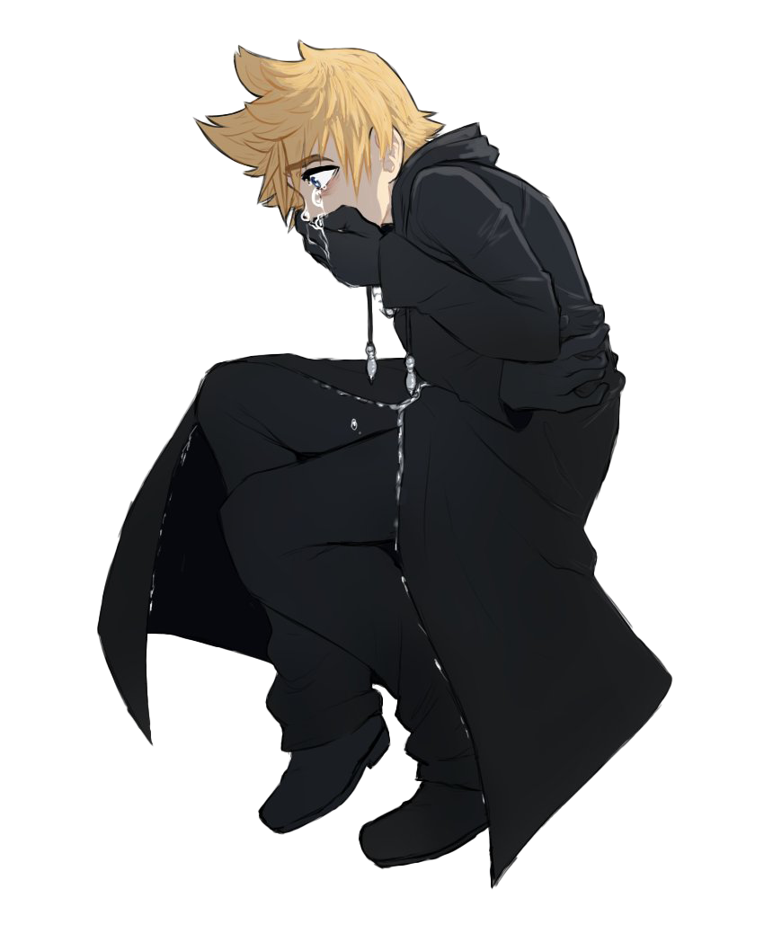 Kingdom Hearts Roxas Transparent PNG Image
