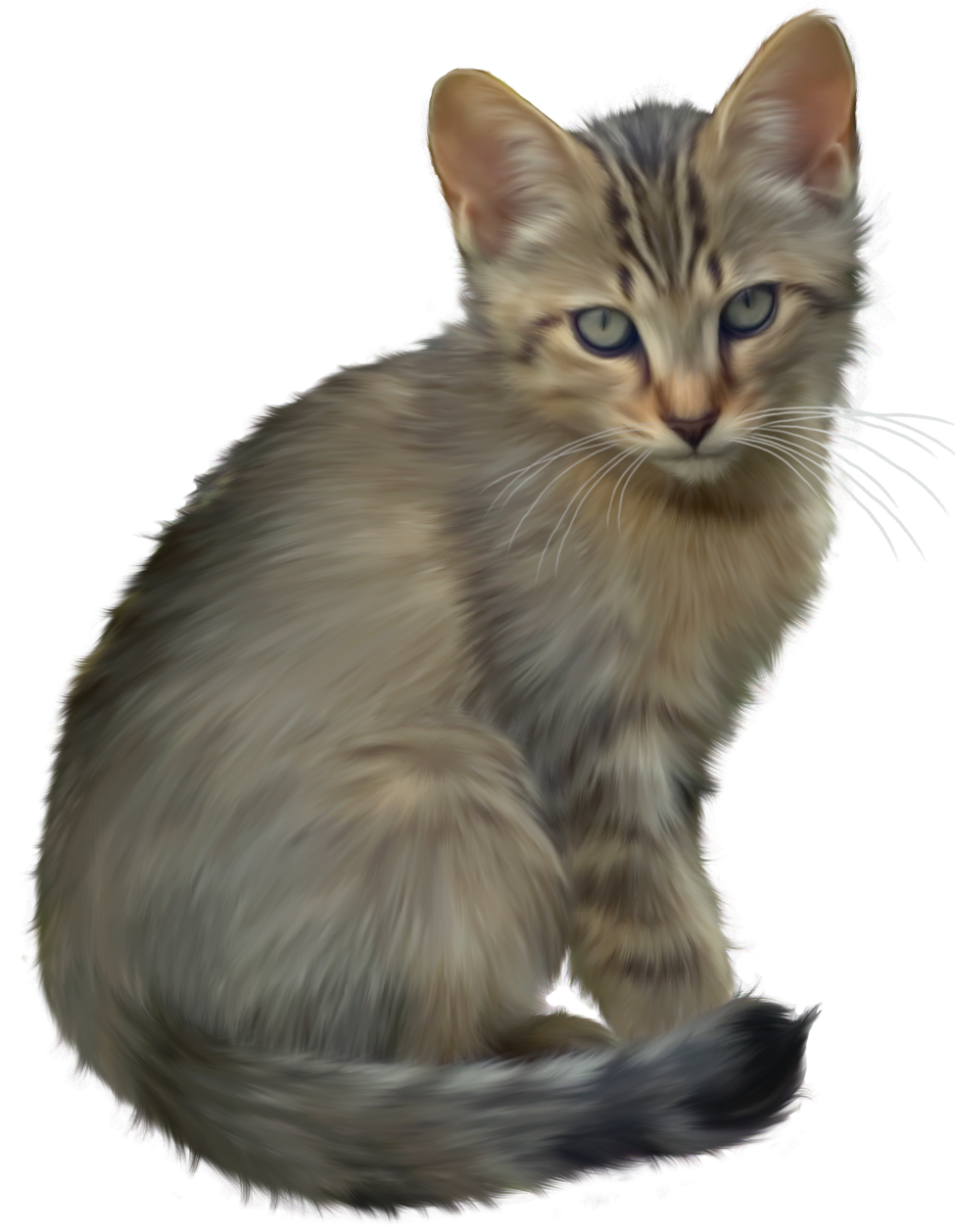 Cute Kitten Transparent PNG Image