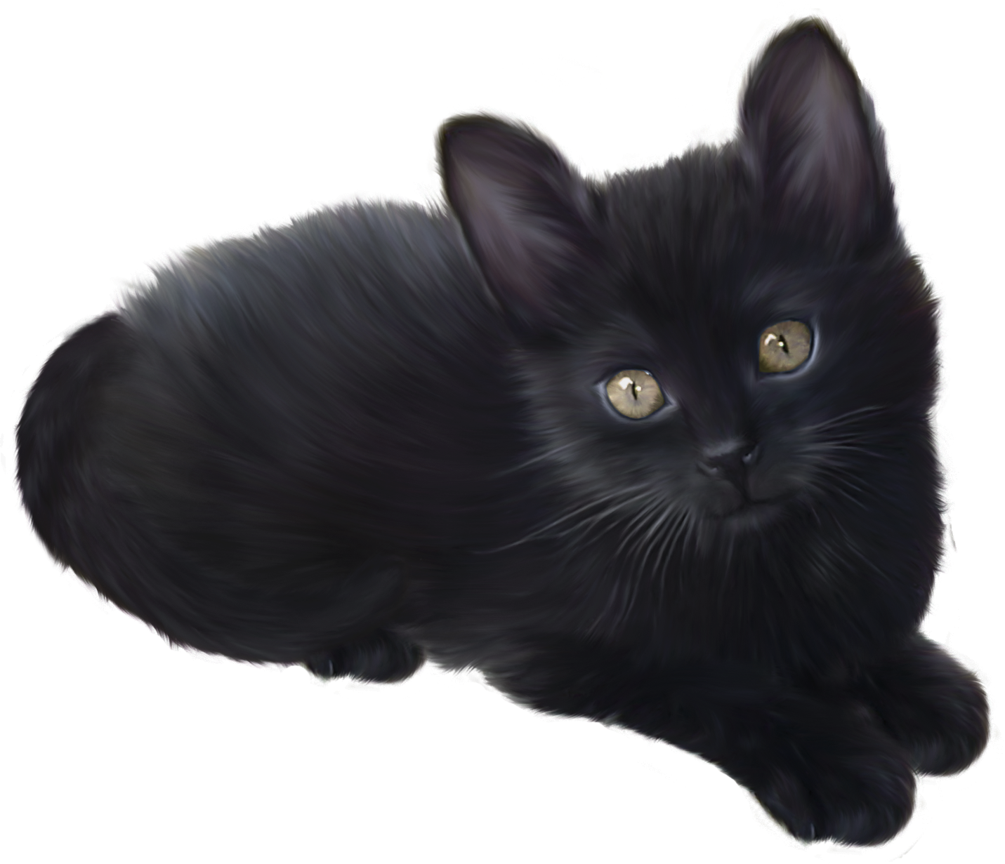 Kitten Transparent PNG Image