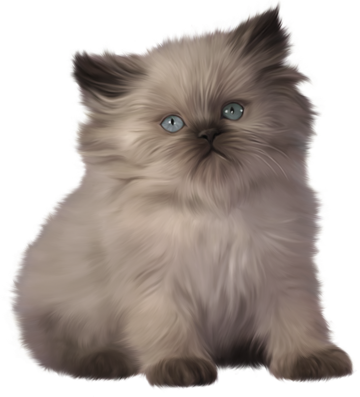 Little Kitten Transparent PNG Image