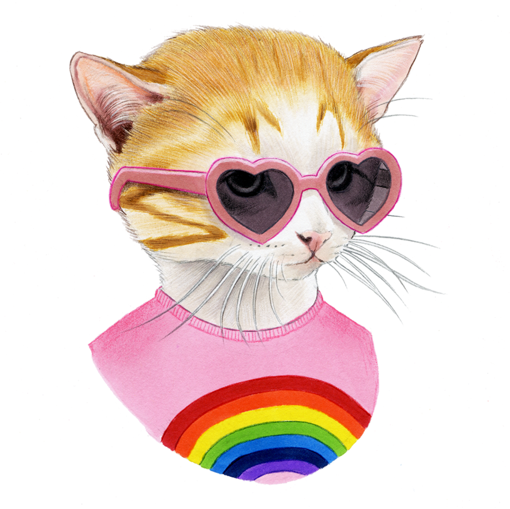 Vector Kitten Transparent PNG Image