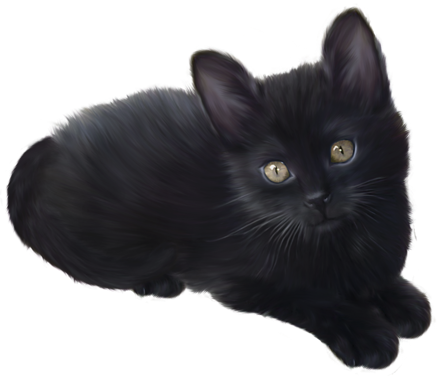 Kitten Transparent PNG Image