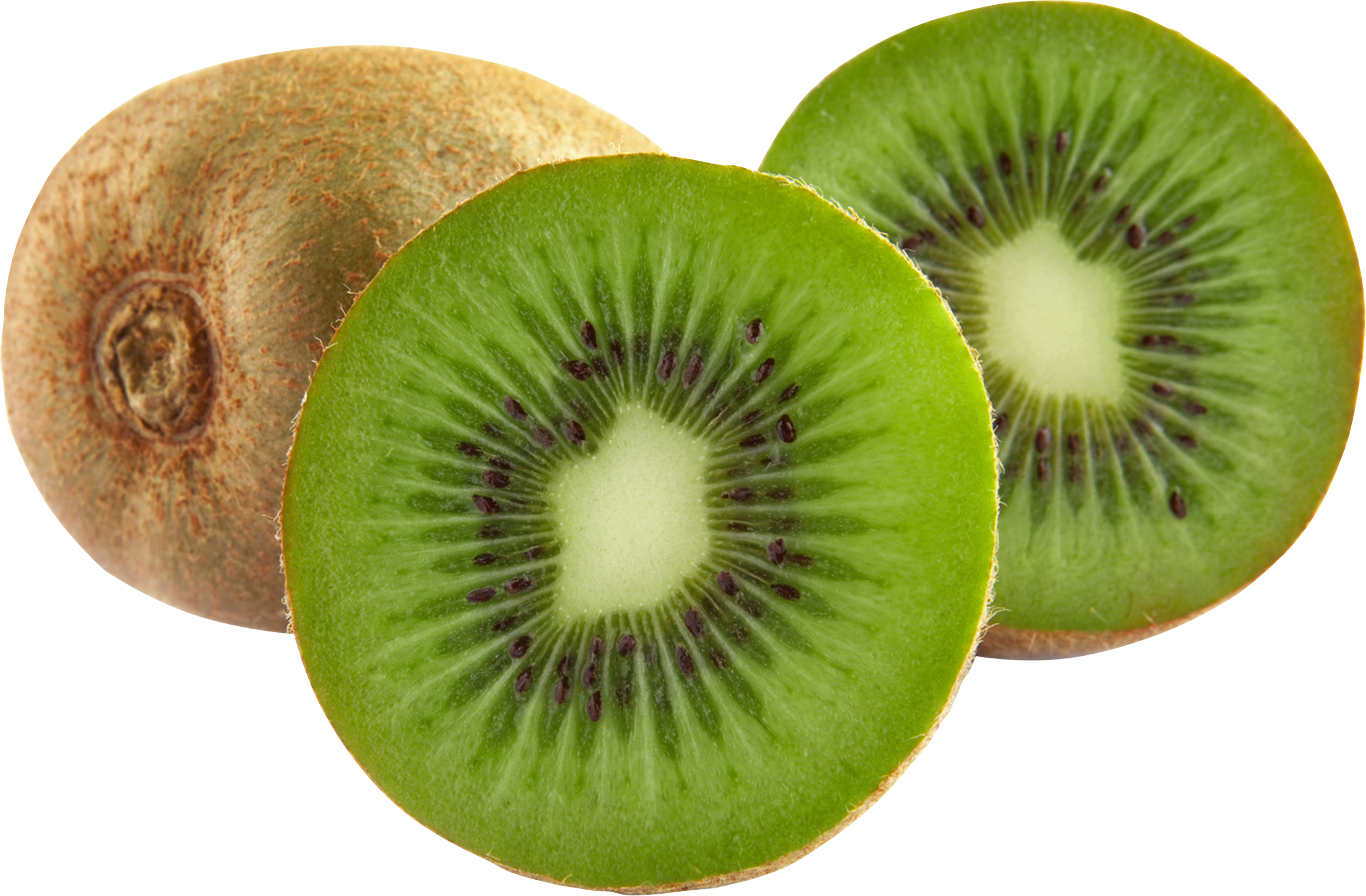 Kiwi File Transparent PNG Image