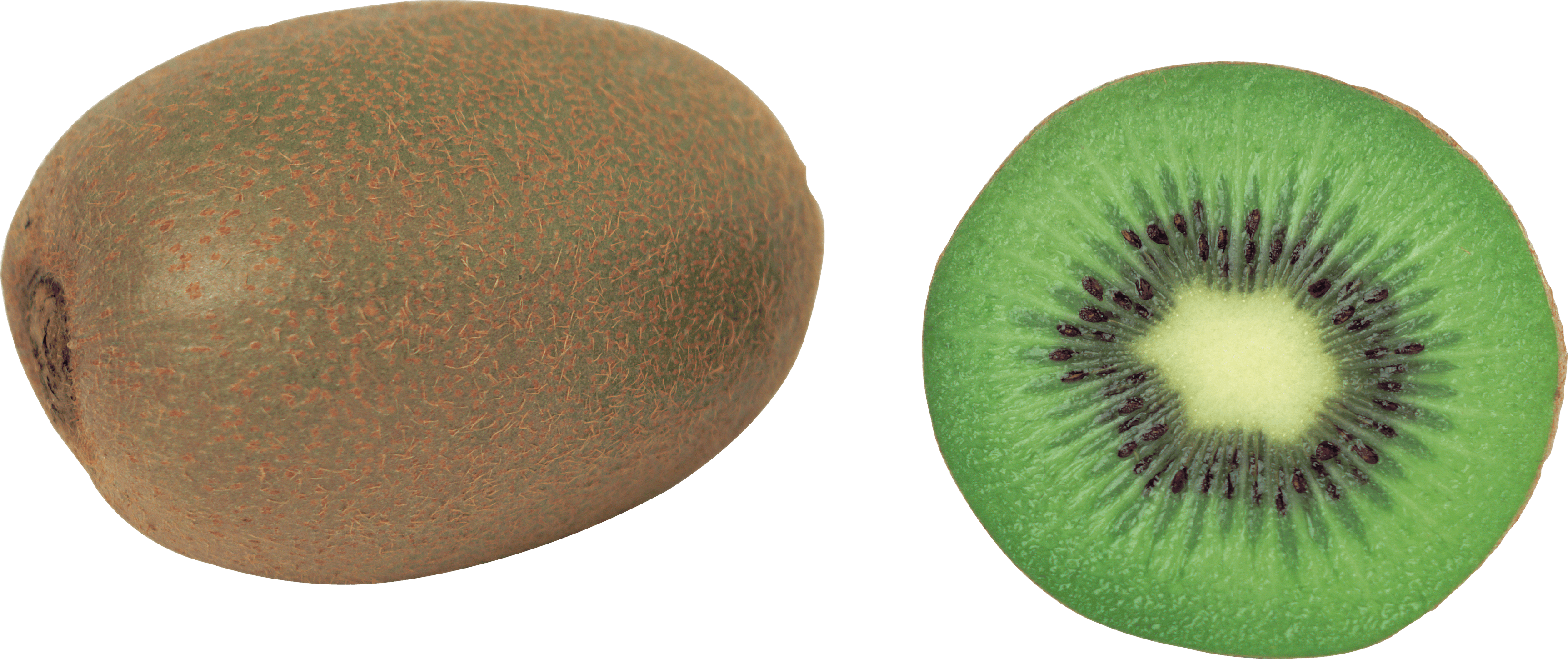 Kiwi Fruit Kiwi Transparent PNG Image
