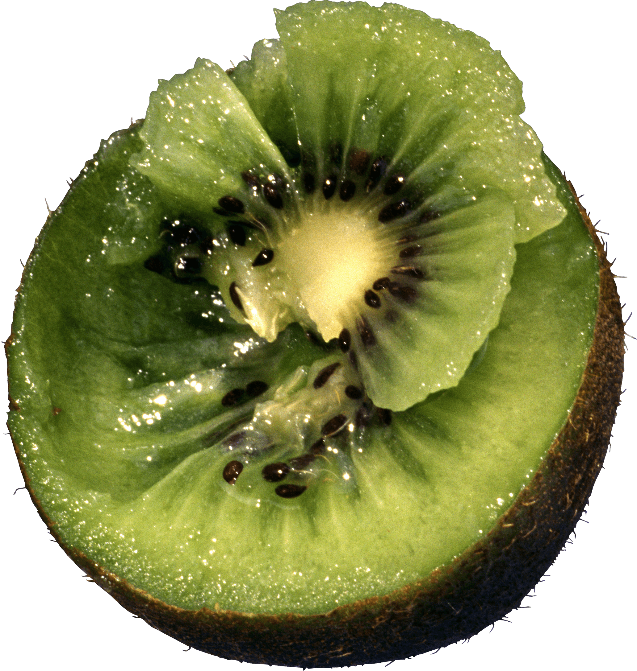 Kiwi Fruit Kiwi Transparent PNG Image