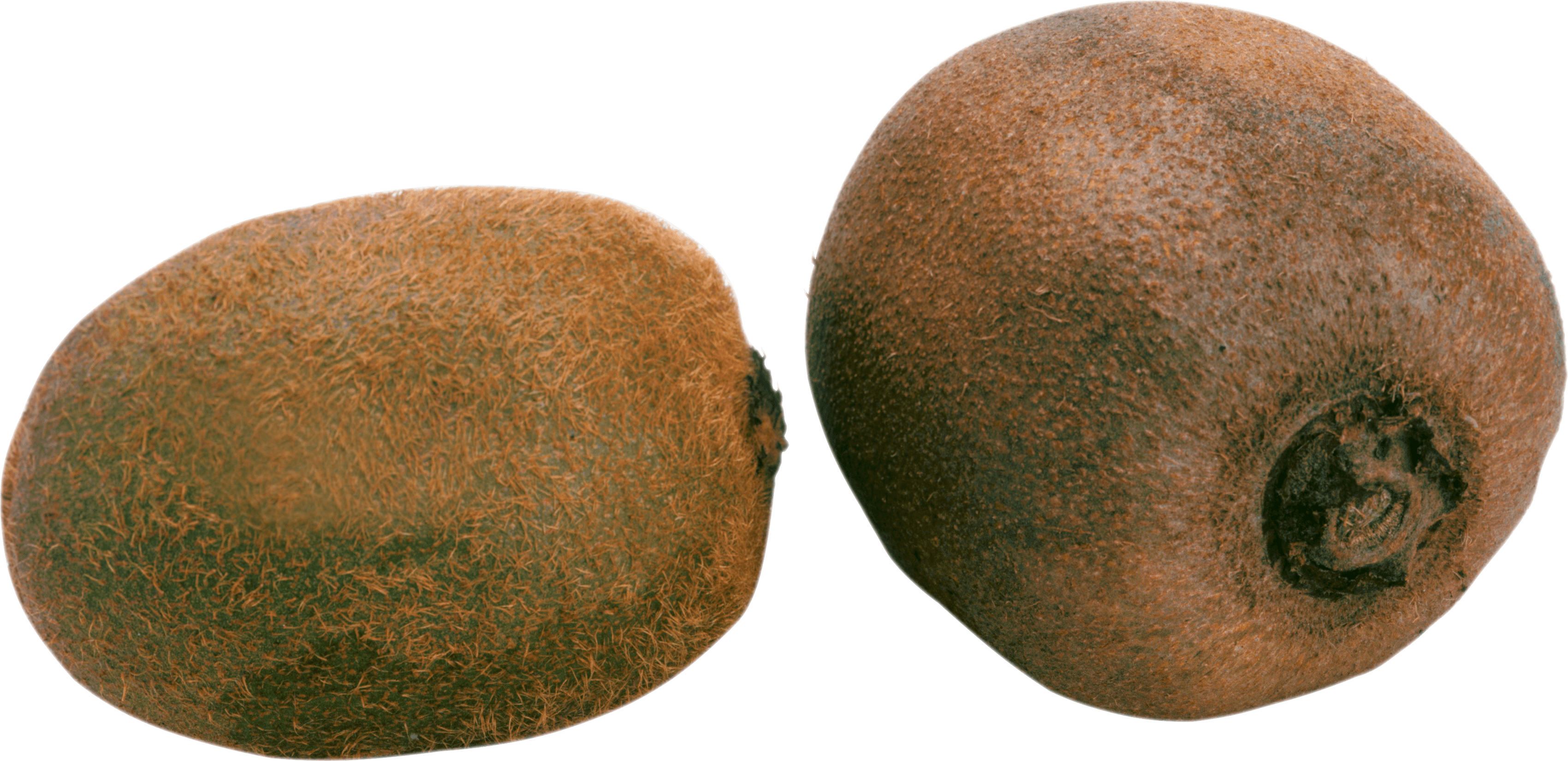 Two Kiwis Transparent PNG Image