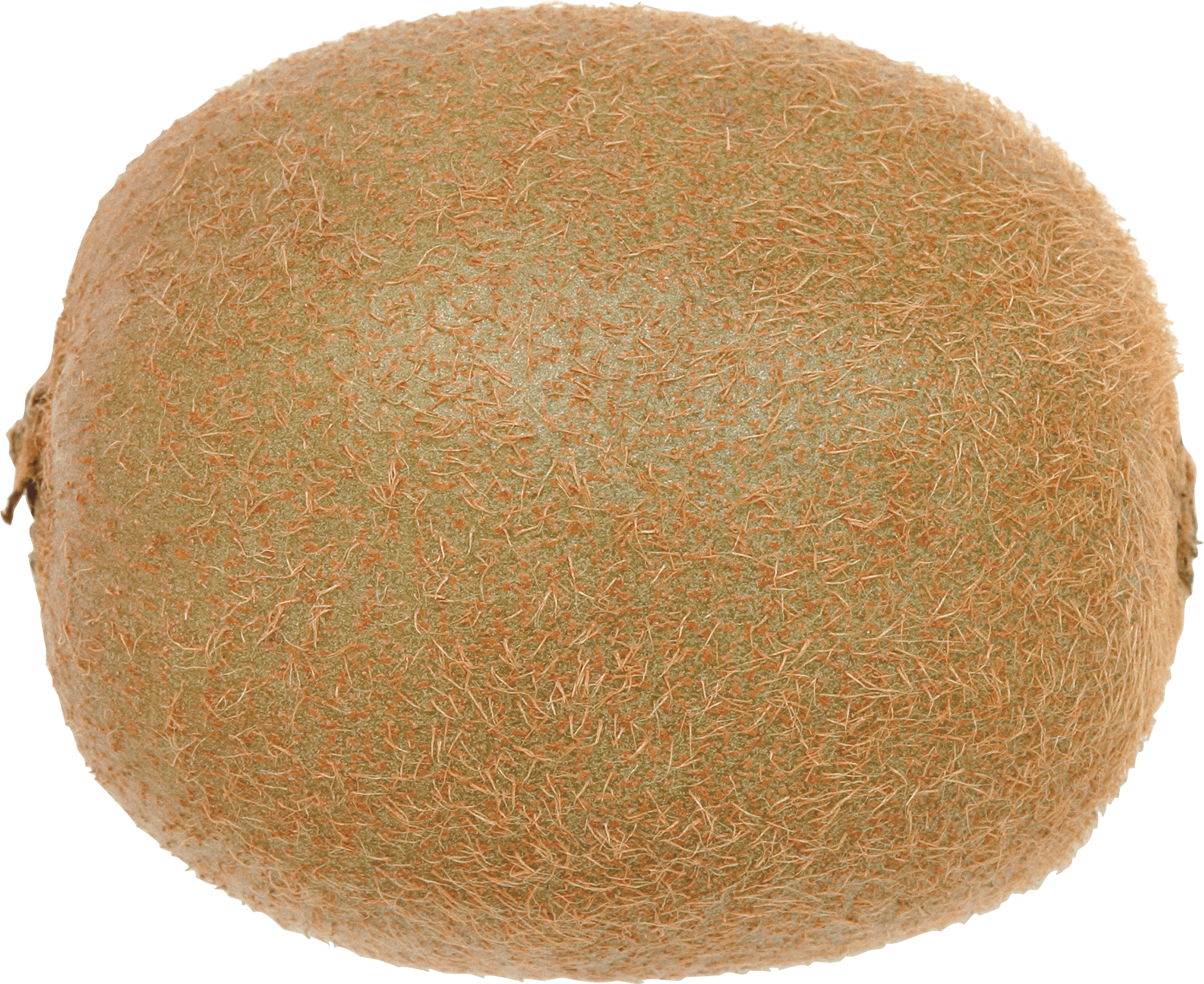 Kiwi Fruit Kiwi Transparent PNG Image
