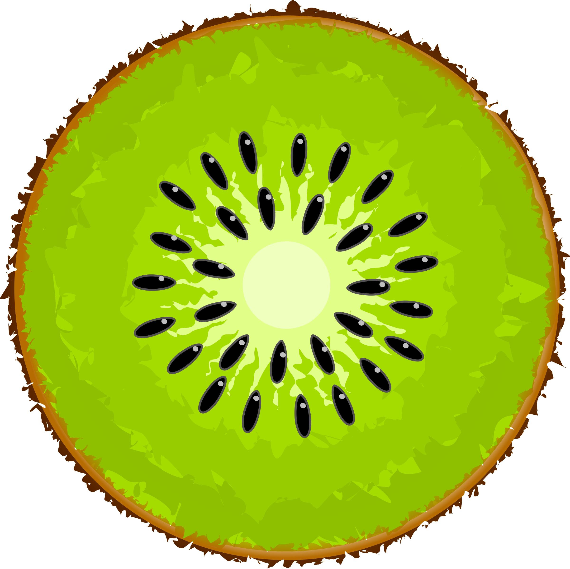 Kiwi Slice Transparent PNG Image
