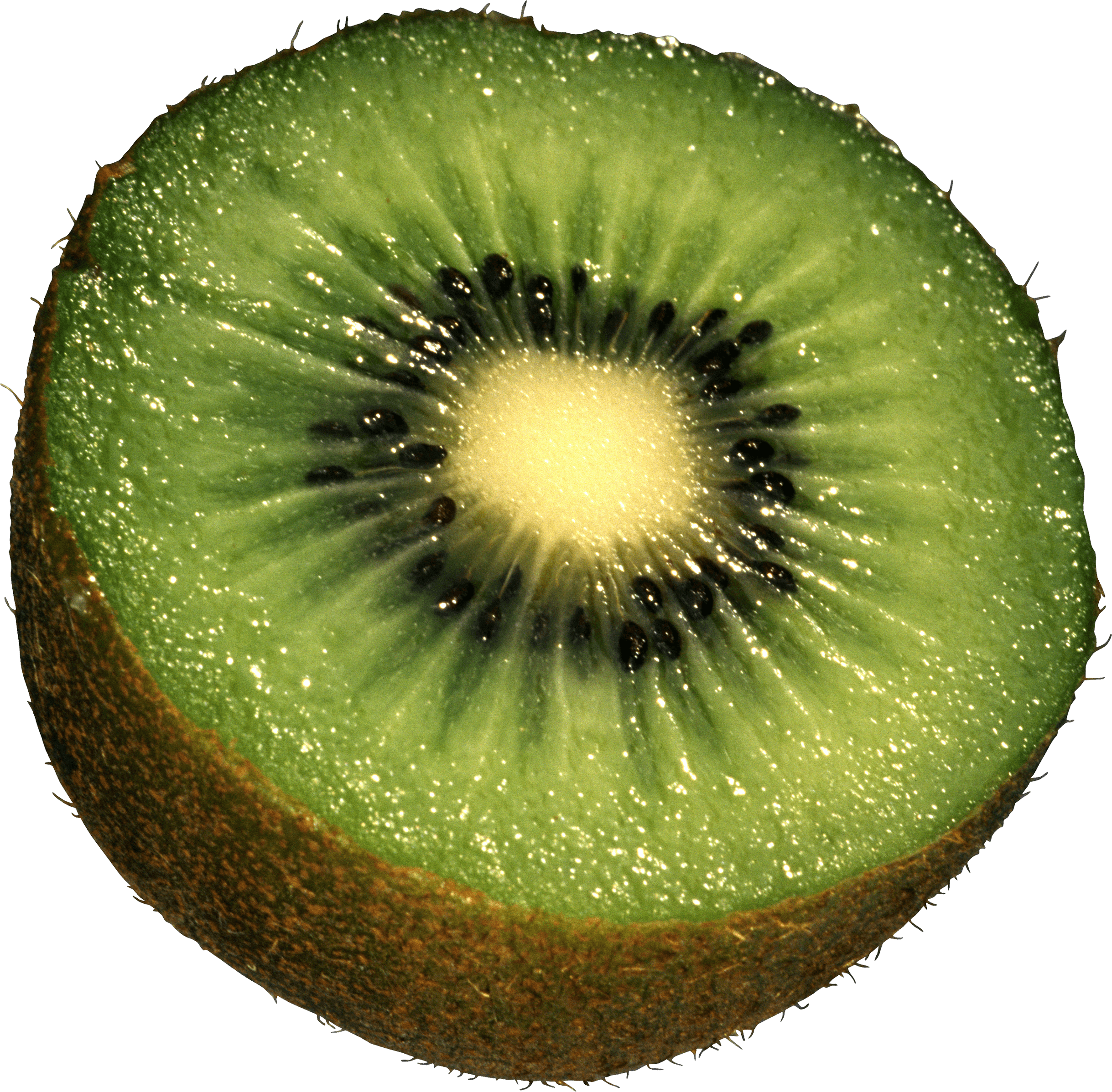 Kiwi Fruit Kiwi Transparent PNG Image