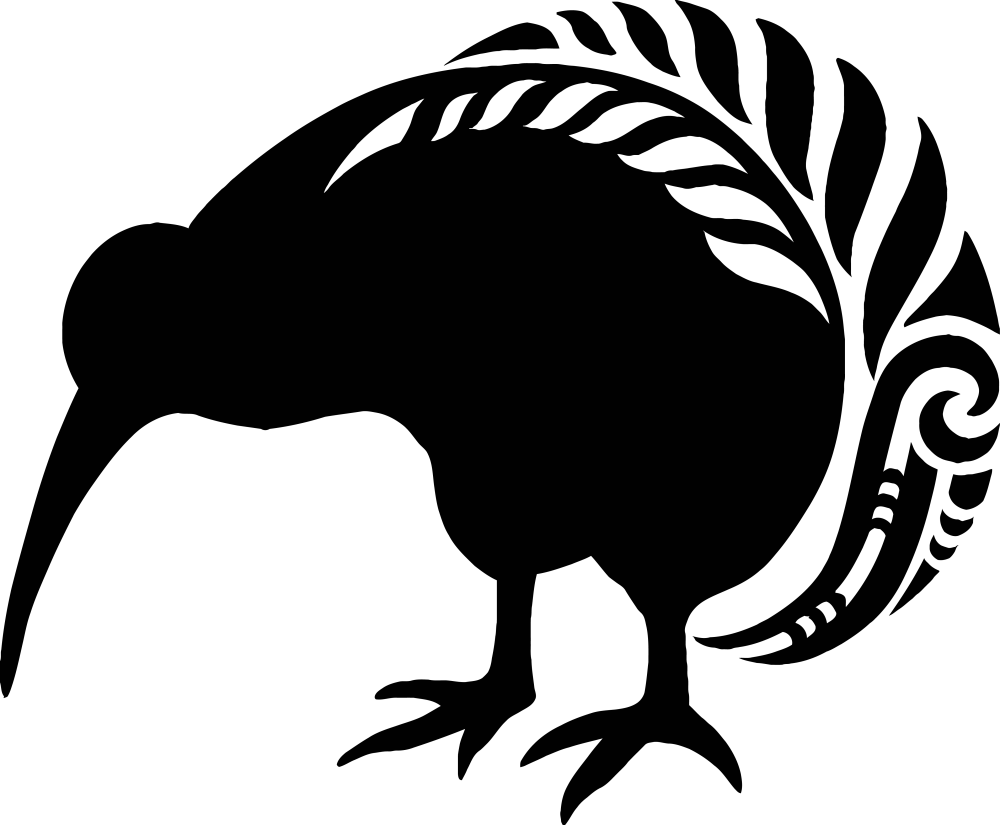 Kiwi Vector Bird Transparent PNG Image