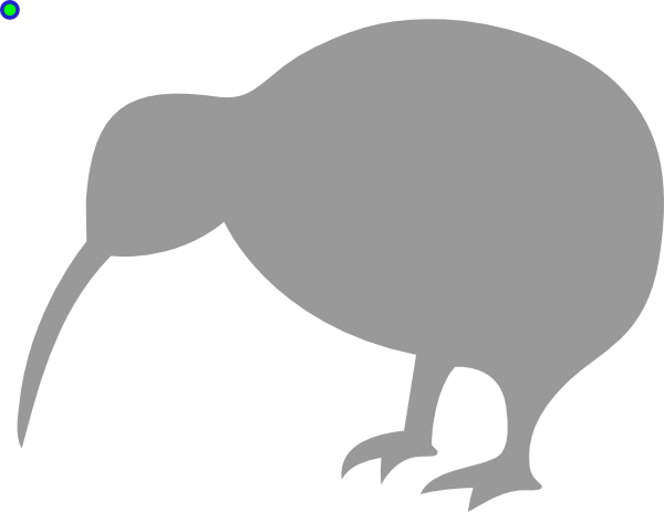 Kiwi Vector Bird Transparent PNG Image