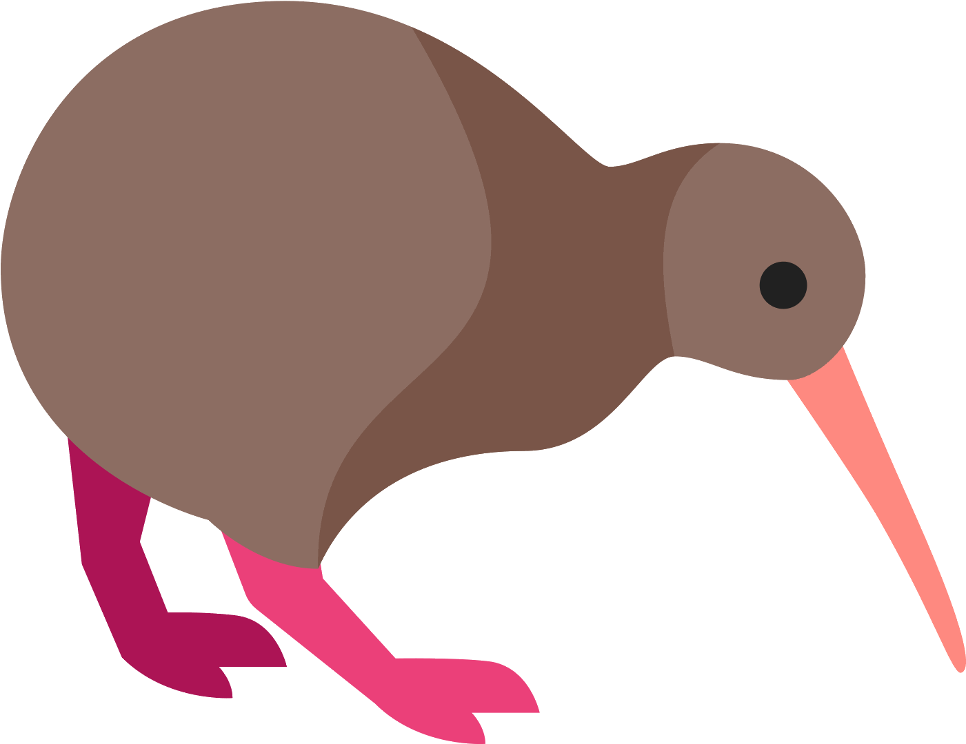 Kiwi Vector Bird Transparent PNG Image