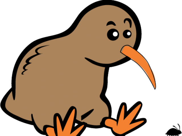 Kiwi Vector Bird Transparent PNG Image