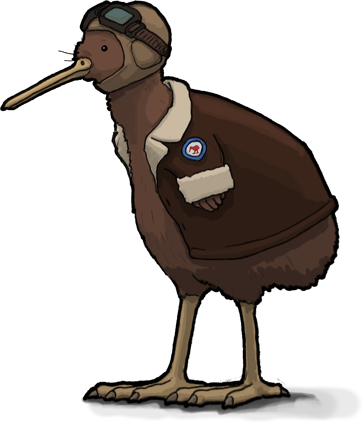 Kiwi Vector Bird Transparent PNG Image