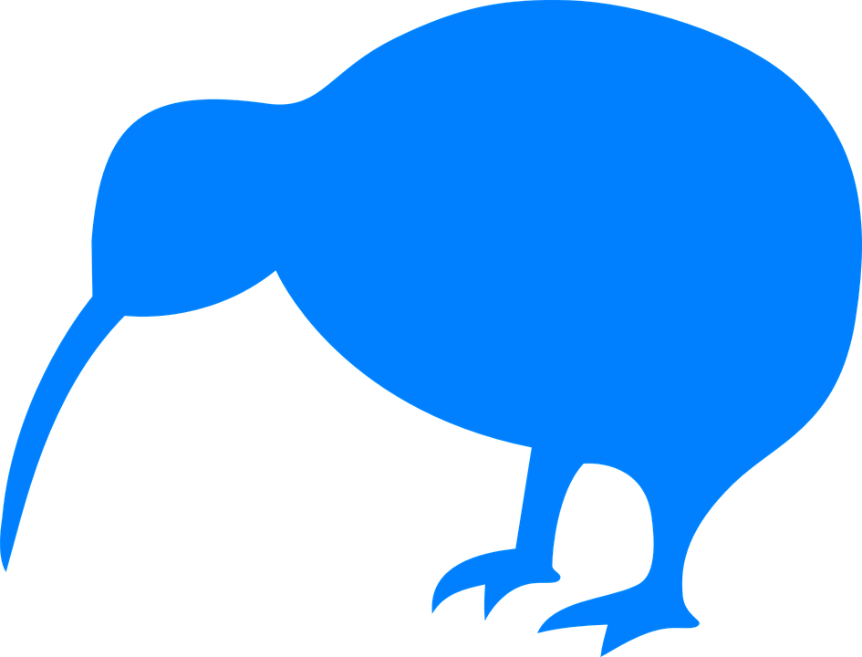 Wild Kiwi Bird Transparent PNG Image