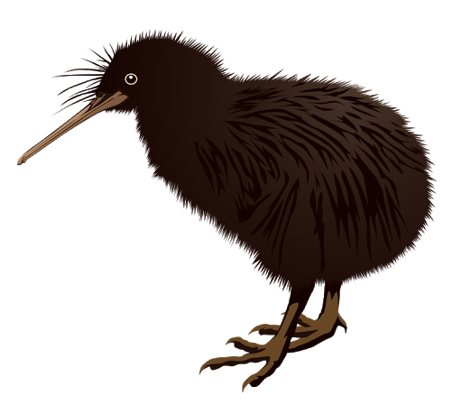 Wild Kiwi Bird Transparent PNG Image