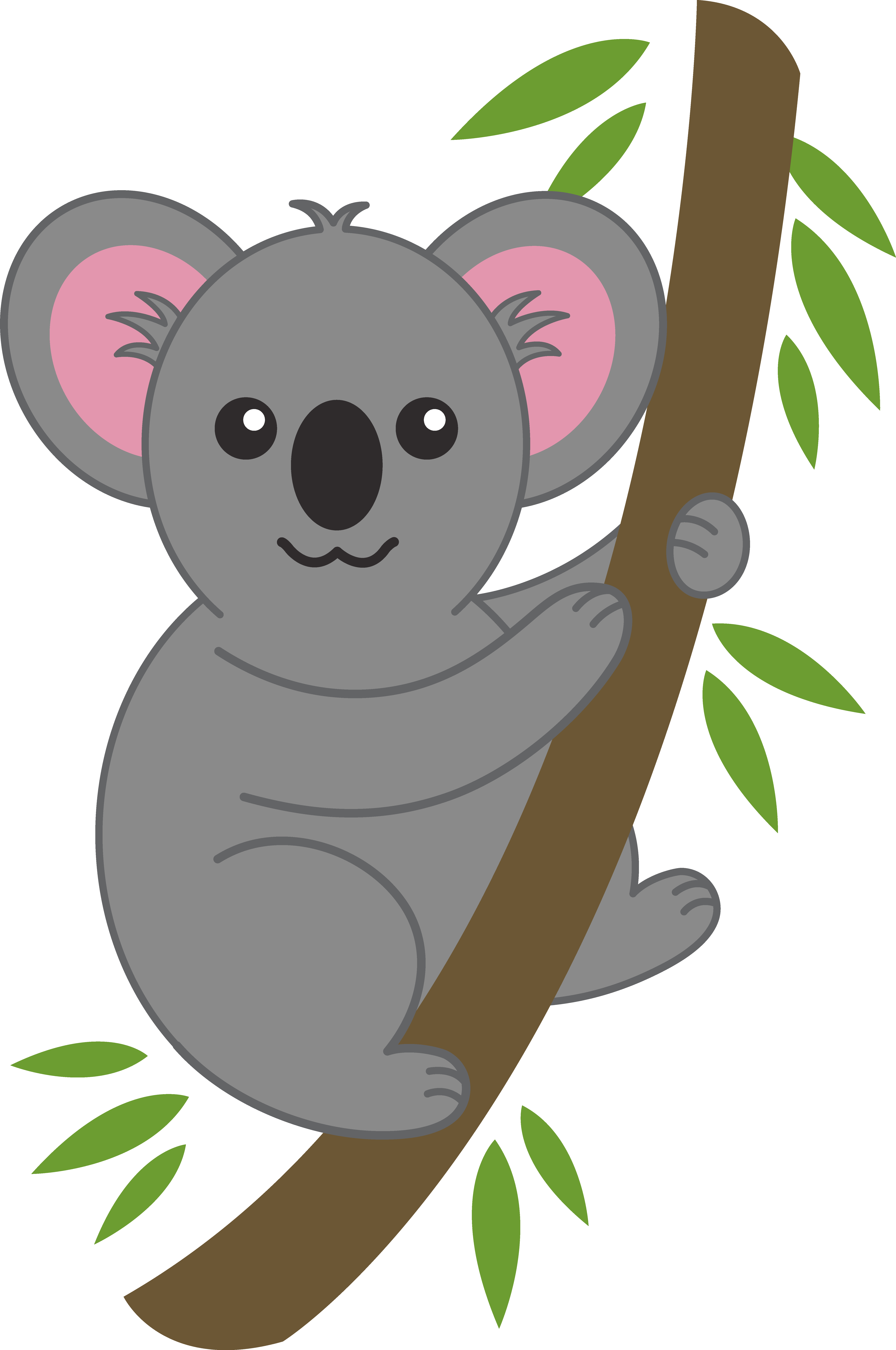 Koala Face File Transparent PNG Image