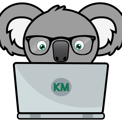 Koala Face Transparent PNG Image