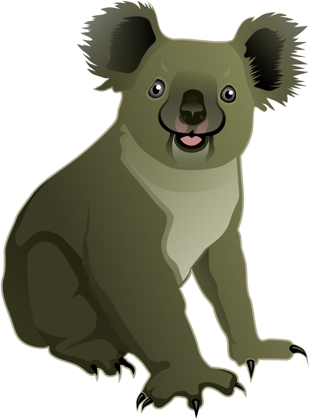 Koala Vecrtor Transparent PNG Image