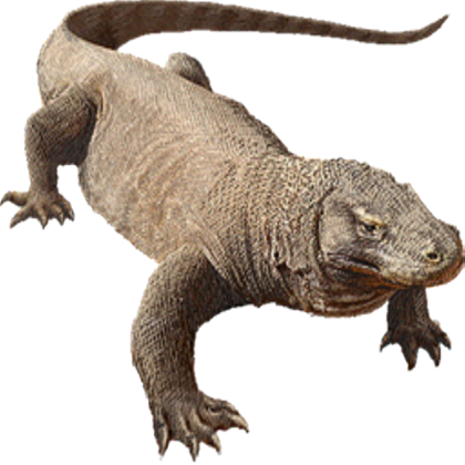 Komodo Dragon Transparent PNG Image