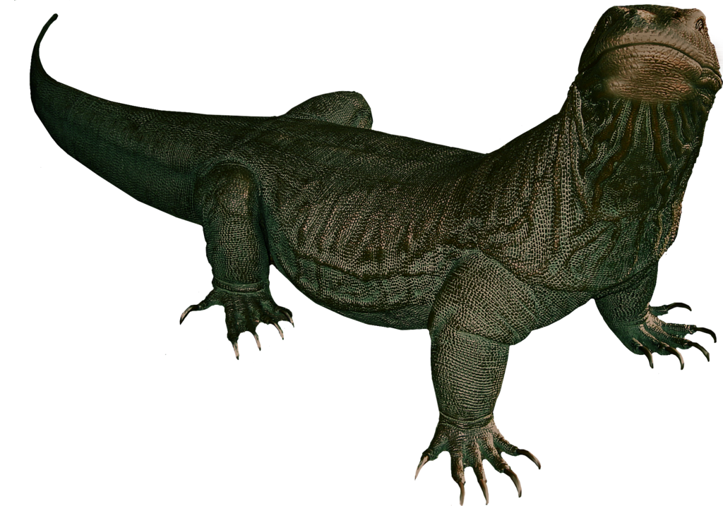 Komodo Dragon Transparent PNG Image