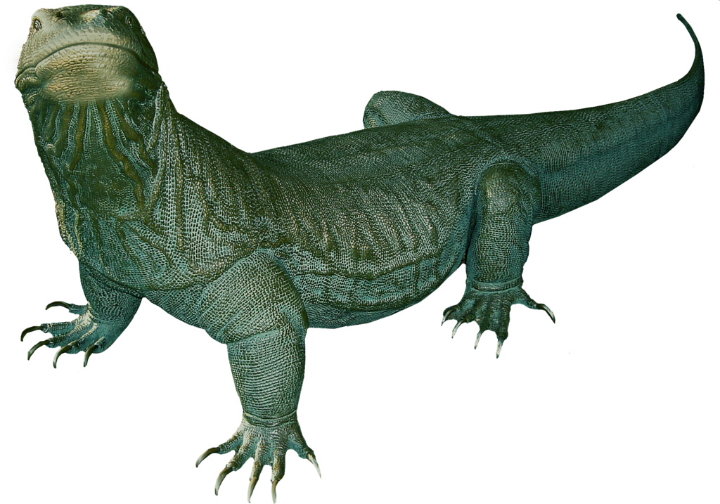 Komodo Dragon Transparent PNG Image