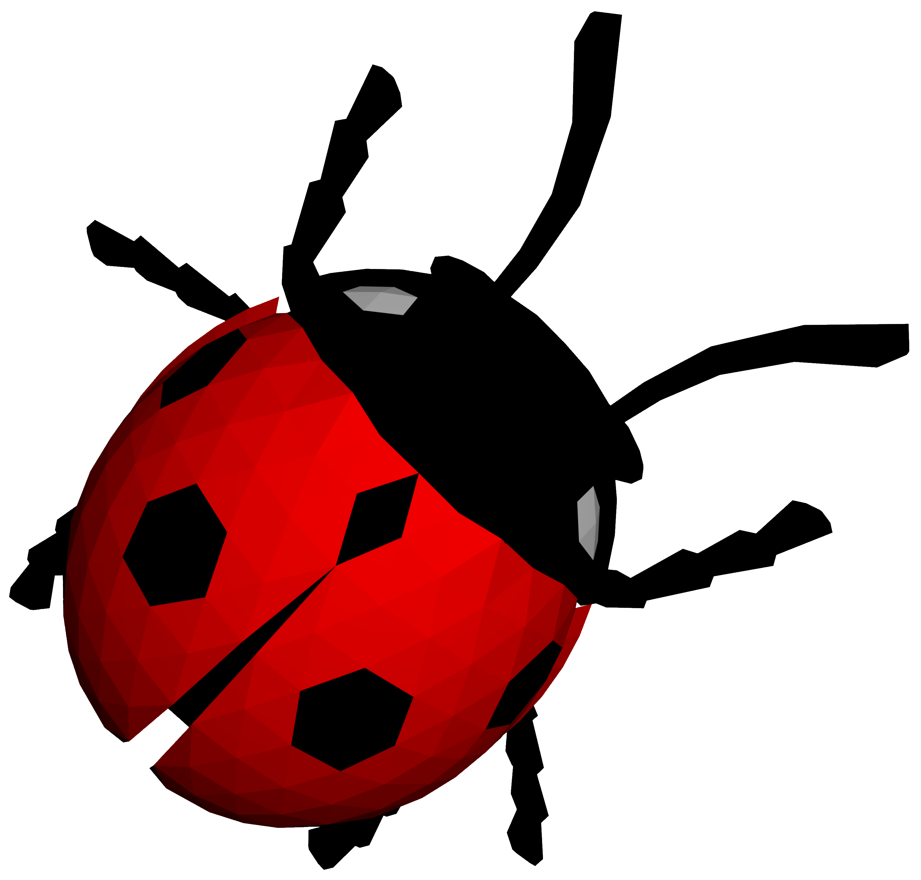 Ladybug Transparent PNG Image