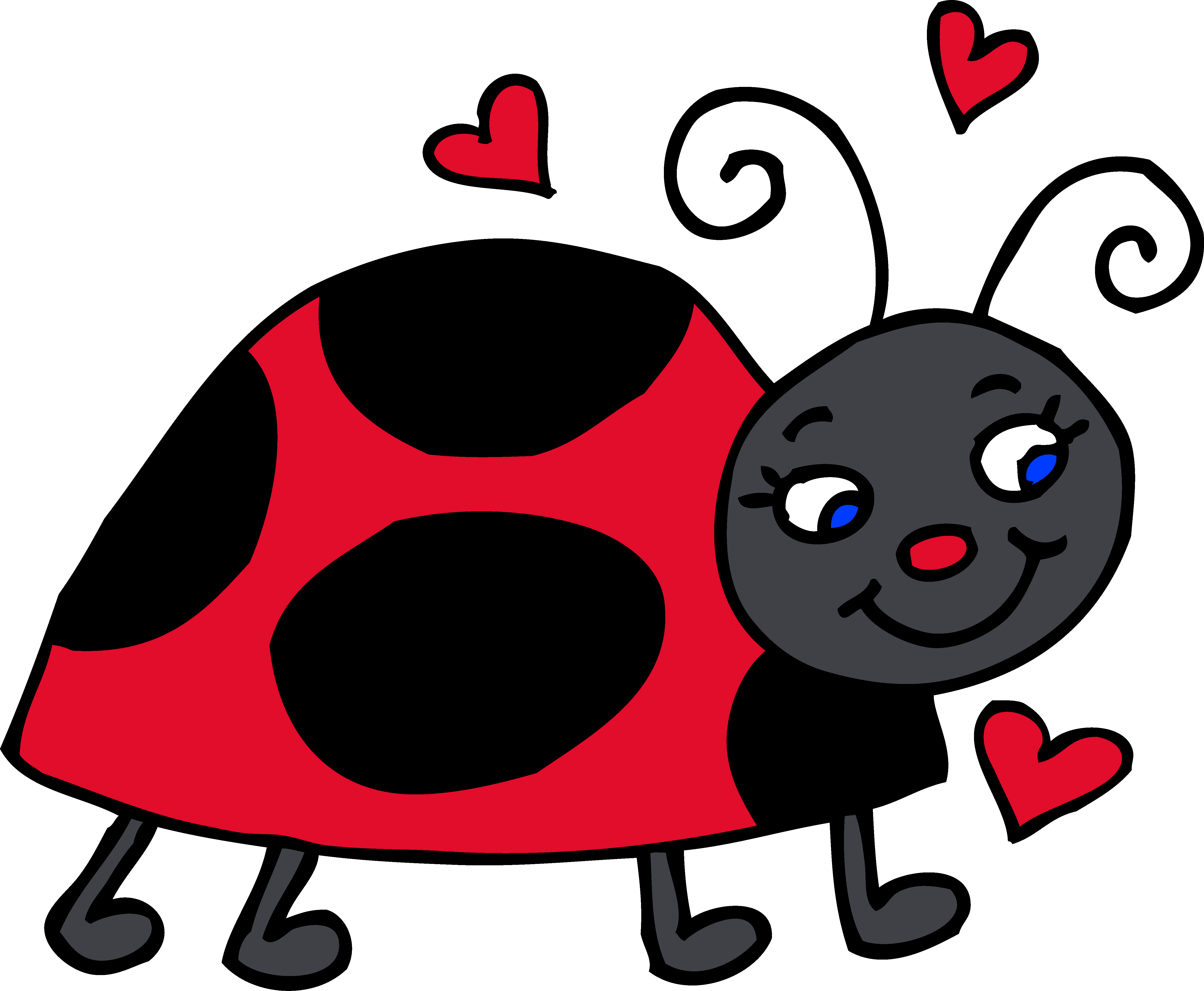 Ladybug Insect Vector Transparent PNG Image