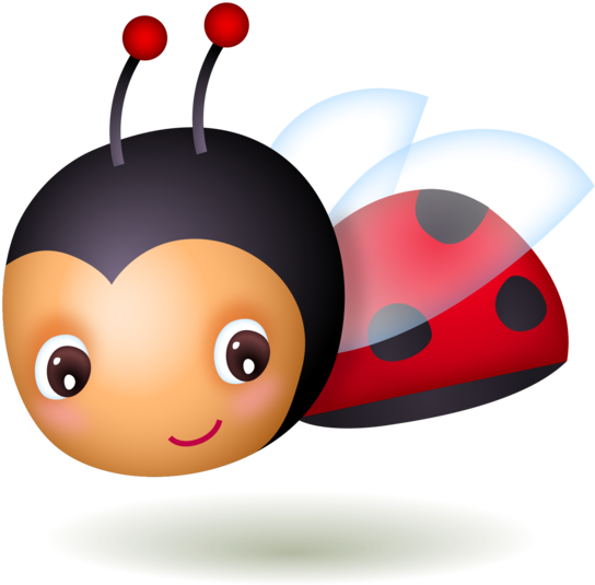 Ladybug Insect Vector Transparent PNG Image