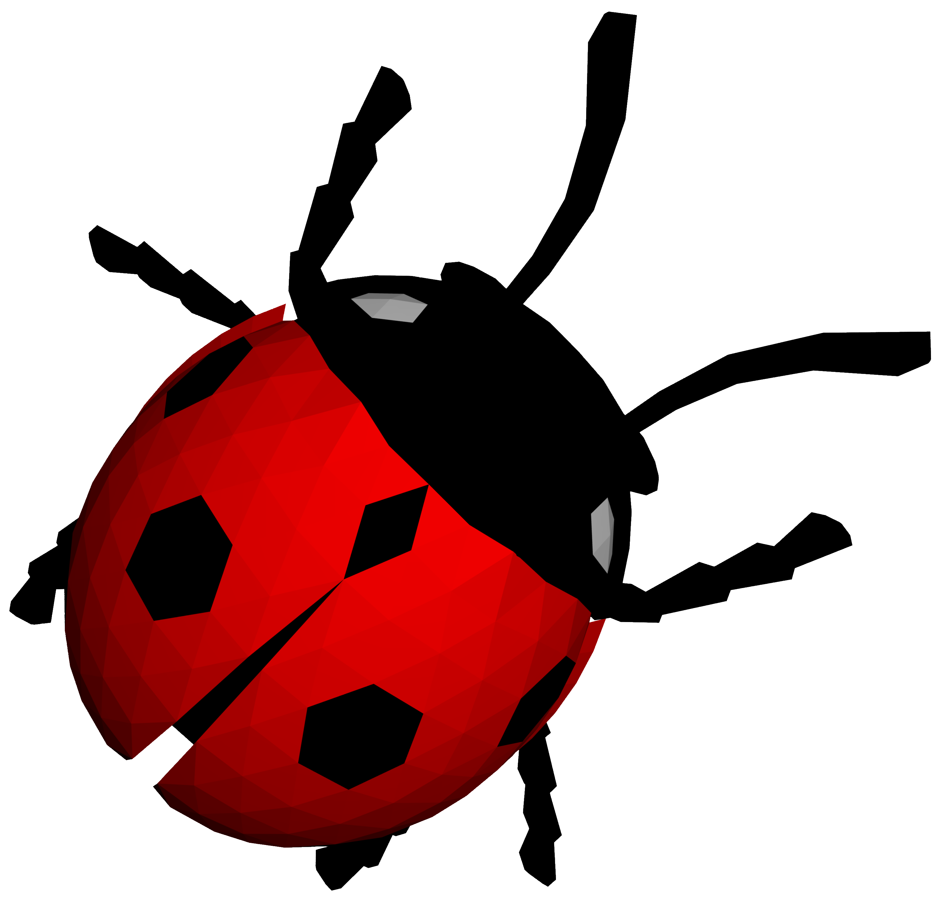 Ladybug Insect Vector Transparent PNG Image