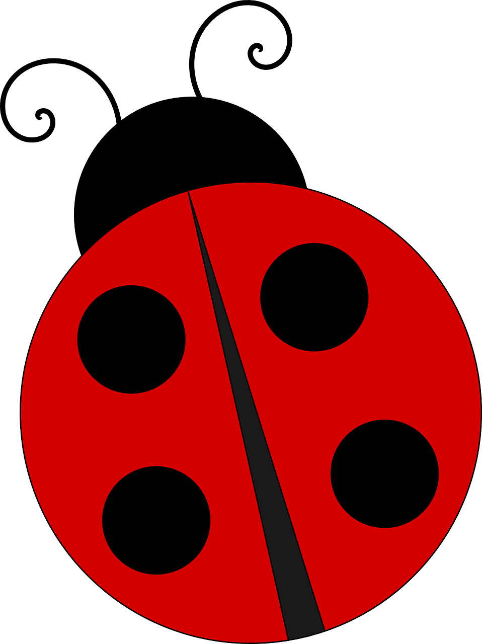 Ladybug Insect Vector Transparent PNG Image