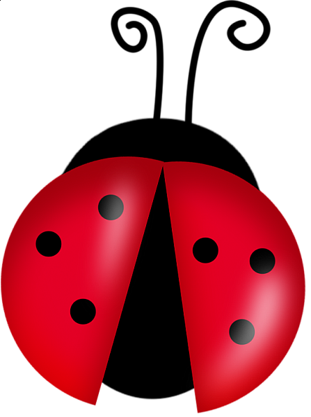 Ladybug File Transparent PNG Image