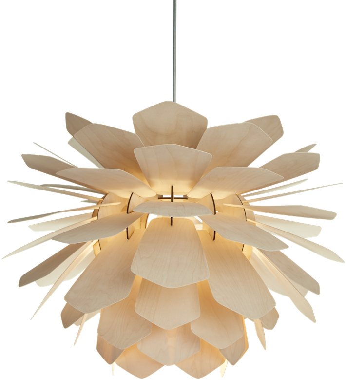 Ceiling Lamp Transparent PNG Image