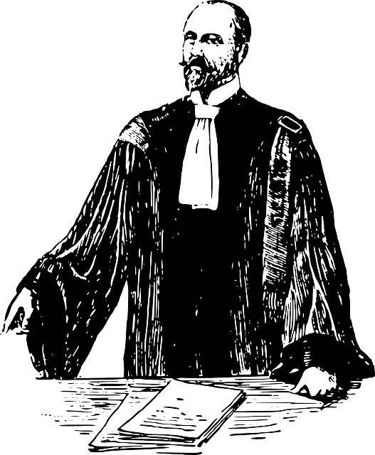 Vector Lawyer Transparent PNG Image